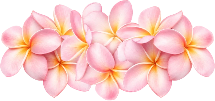 Kwiat frangipani - motyw dekoracyjny